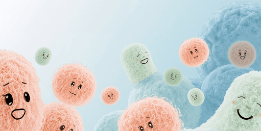 Natural Gut Flora, Probiotics, and the Hidden Effect of Antibiotics - Anton Nutrition