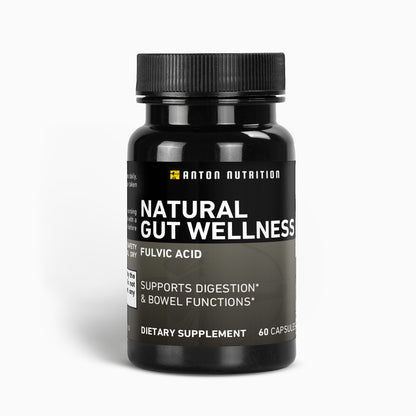 Natural Gut Wellness - Anton Nutrition